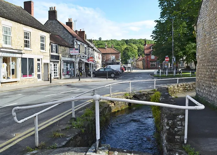 Daisy * Thornton Dale