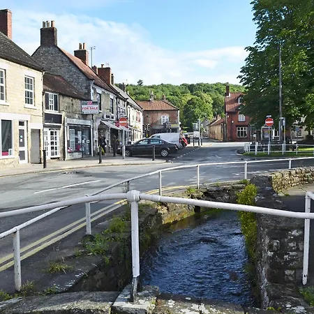 Daisy * ソーントン・デール